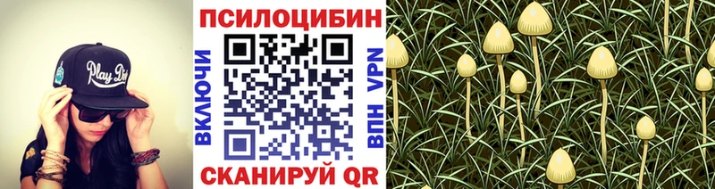Псилоцибиновые грибы Magic Shrooms  Благовещенск 